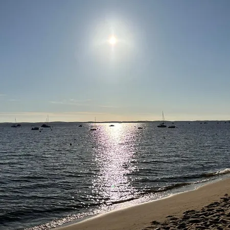 公寓 Face Au Bassin D'arcachon 安德诺莱斯贝恩